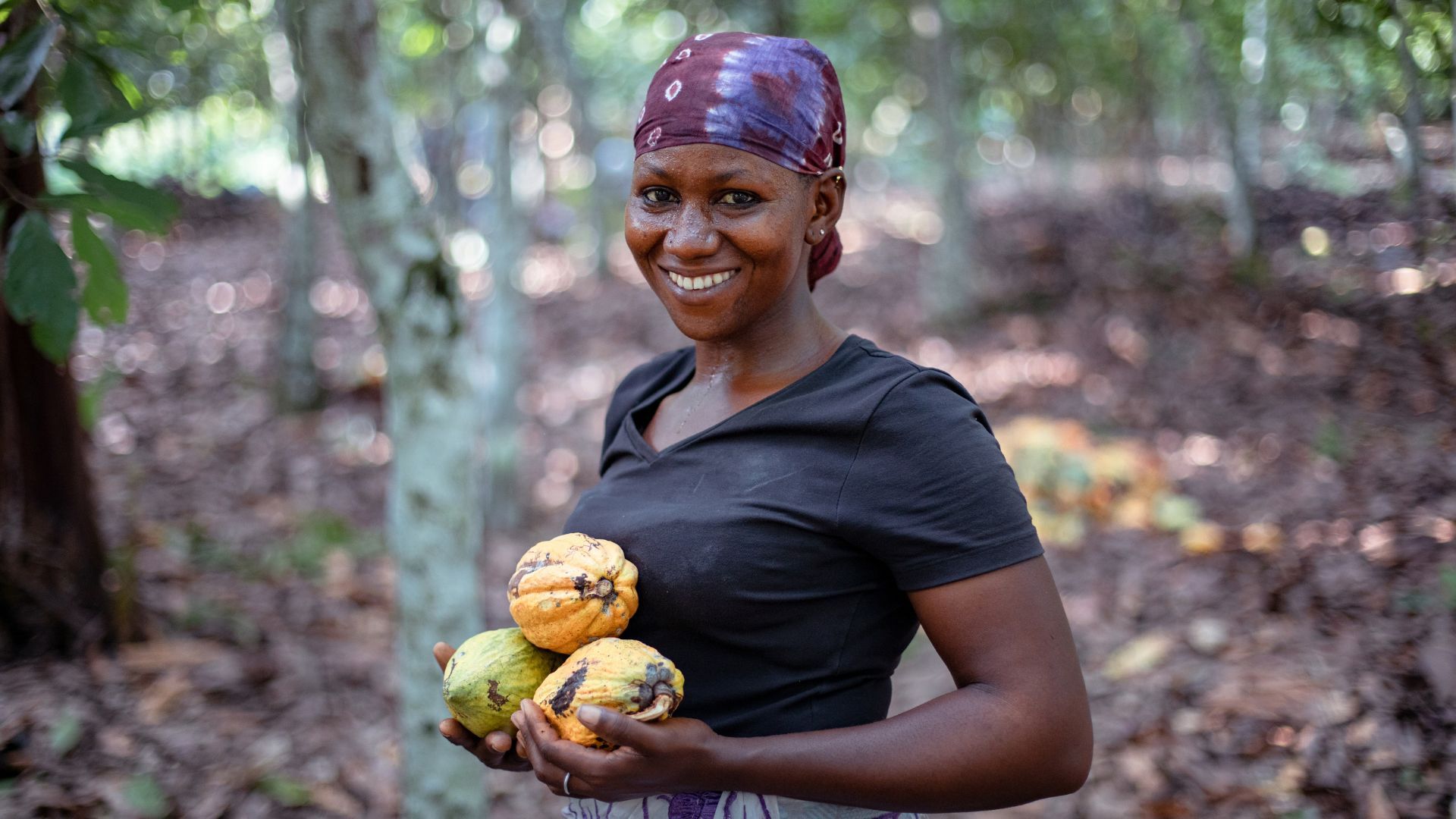 A smiling woman standing in a cocoa plantation, holding ripe cocoa pods in her hands. She is wearing a patterned headscarf and a black shirt.